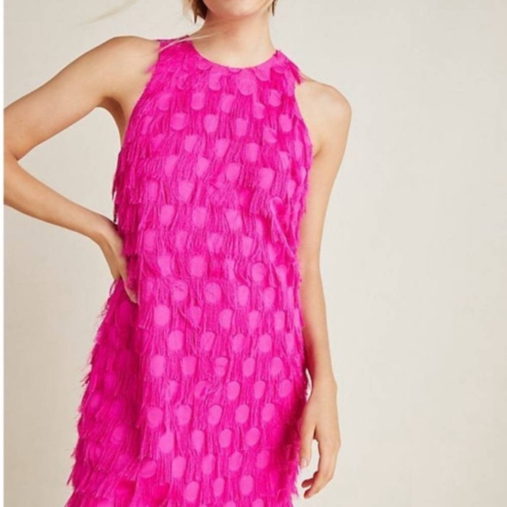 Anthropologie Roxie Shift Dress
